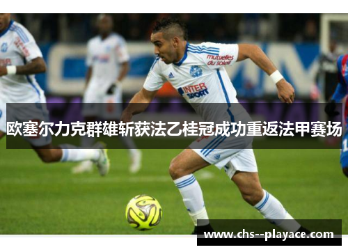 欧塞尔力克群雄斩获法乙桂冠成功重返法甲赛场