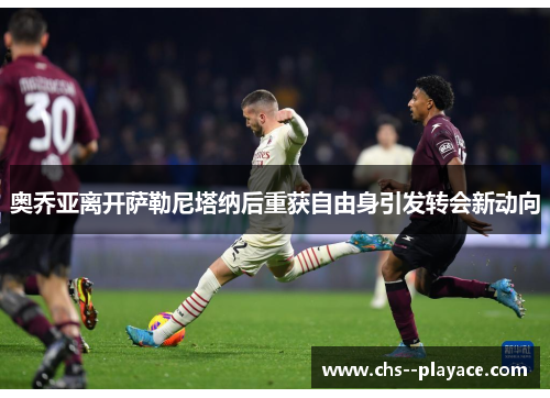 奥乔亚离开萨勒尼塔纳后重获自由身引发转会新动向