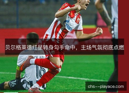 贝尔格莱德红星转身勾手命中,主场气氛彻底点燃 贝尔格莱德红星转身勾手命中,主场气氛彻底点燃